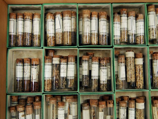 Interview: FAU-Kustos Udo Andraschke über Universitätssammlungen