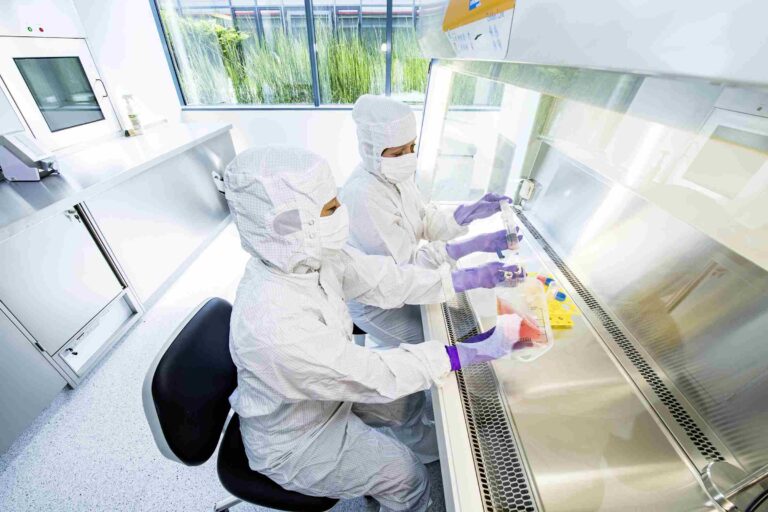 Neue Immuntherapie gegen Krebs