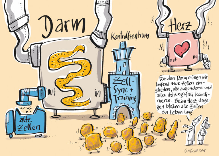 Die Zelle ist tot,  es lebe die Zelle