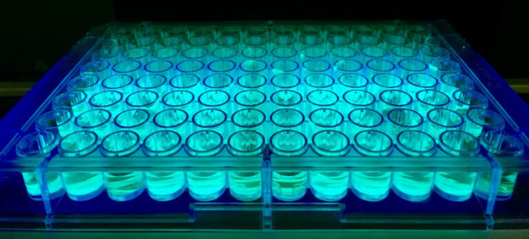 Chemiker helfen dem Zufall auf die Sprünge