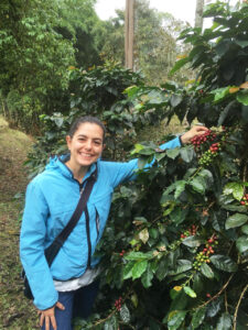 Eine Frau mit einer türkisenen Jacke blickt in die Kamera, während sie von Sträuchern Kaffeebohnen pflückt.