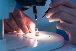 Nahaufnahme Zahnersatz