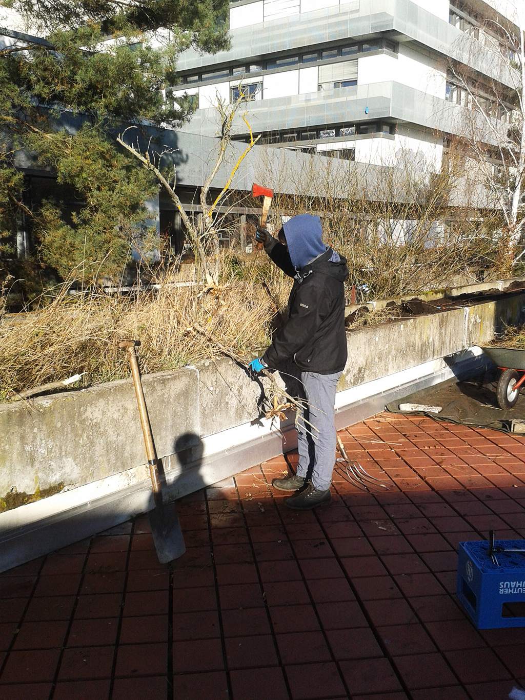 Eine Person in JWinterjacke und mit Kapuze ist gerade dabei mit einer Axt Gestrüpp zu entfernen.