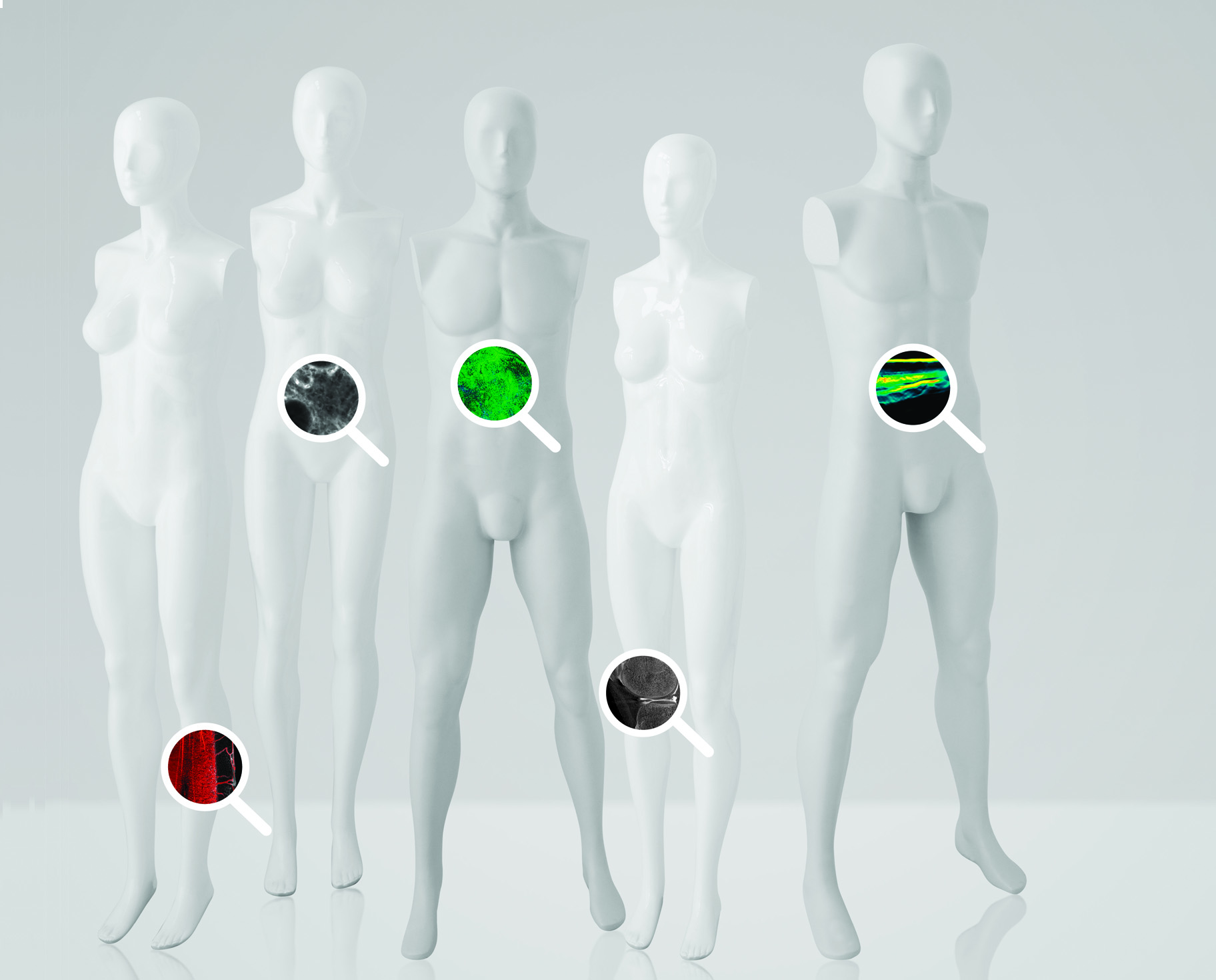 Titelbild Artikel "Körpereinsichten" im friedrich 119