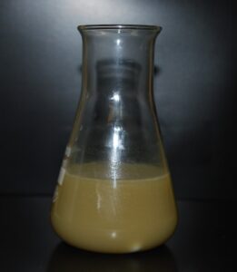 Wässrige Suspension der Mikrokapseln.