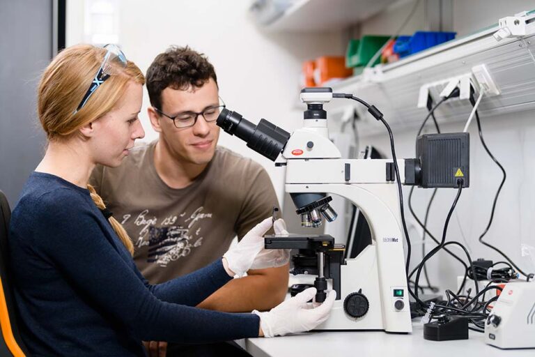 Uniklinikum Erlangen führender Forschungspartner bei räumlicher Kartografierung der Tumorumgebung