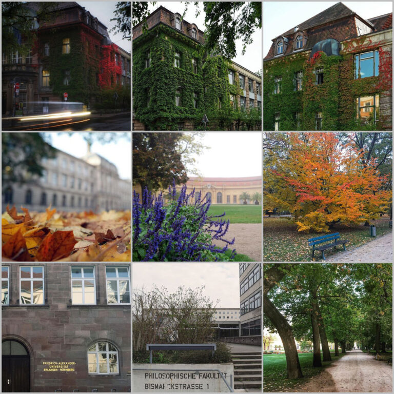 Bildergalerie: Instagram-Rückblick 2020