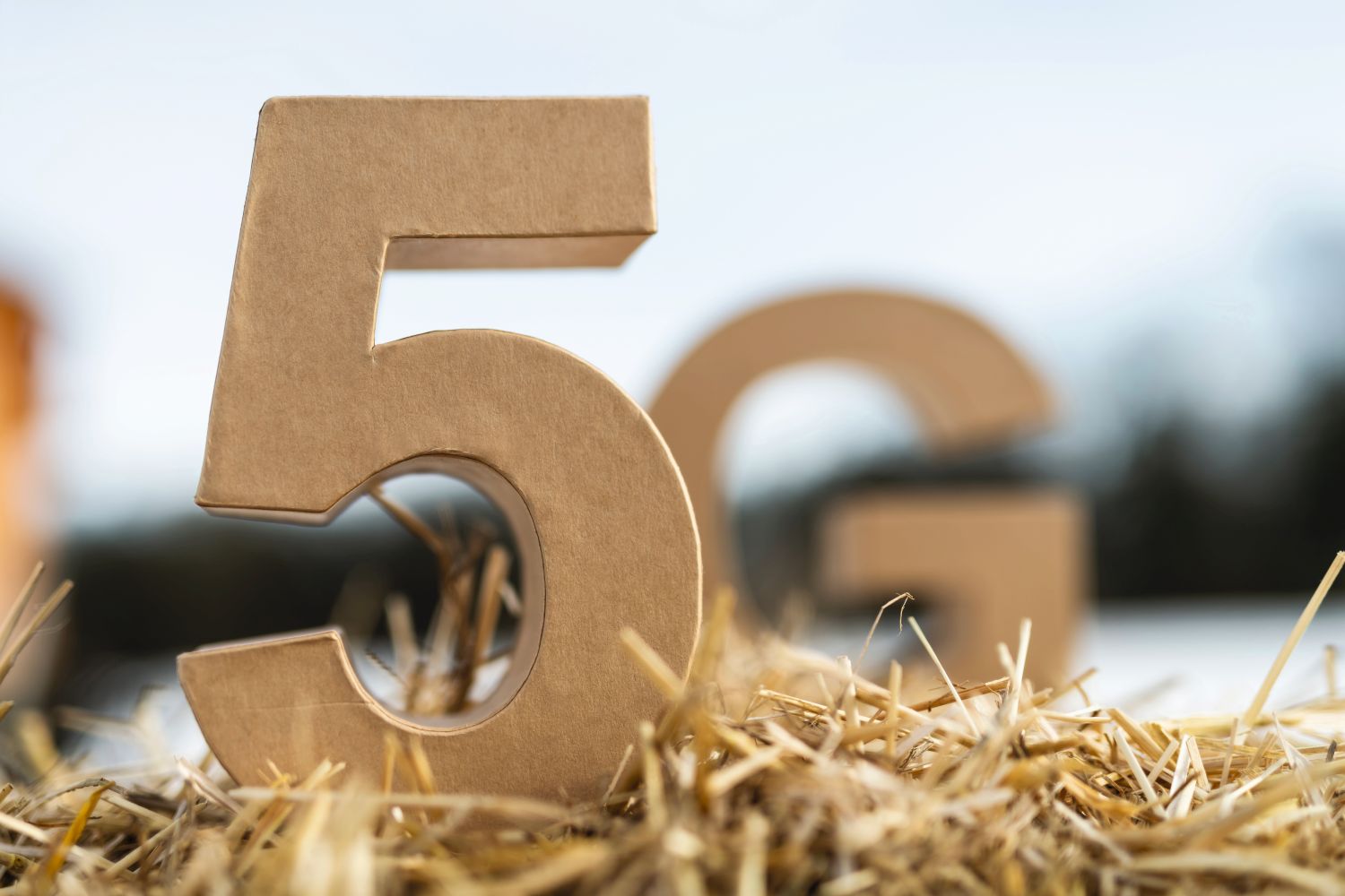 5G als Pappfigur im Heu.