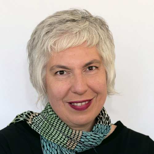 hr: Prof. Dr. Heike Paul über die Midterms in den USA