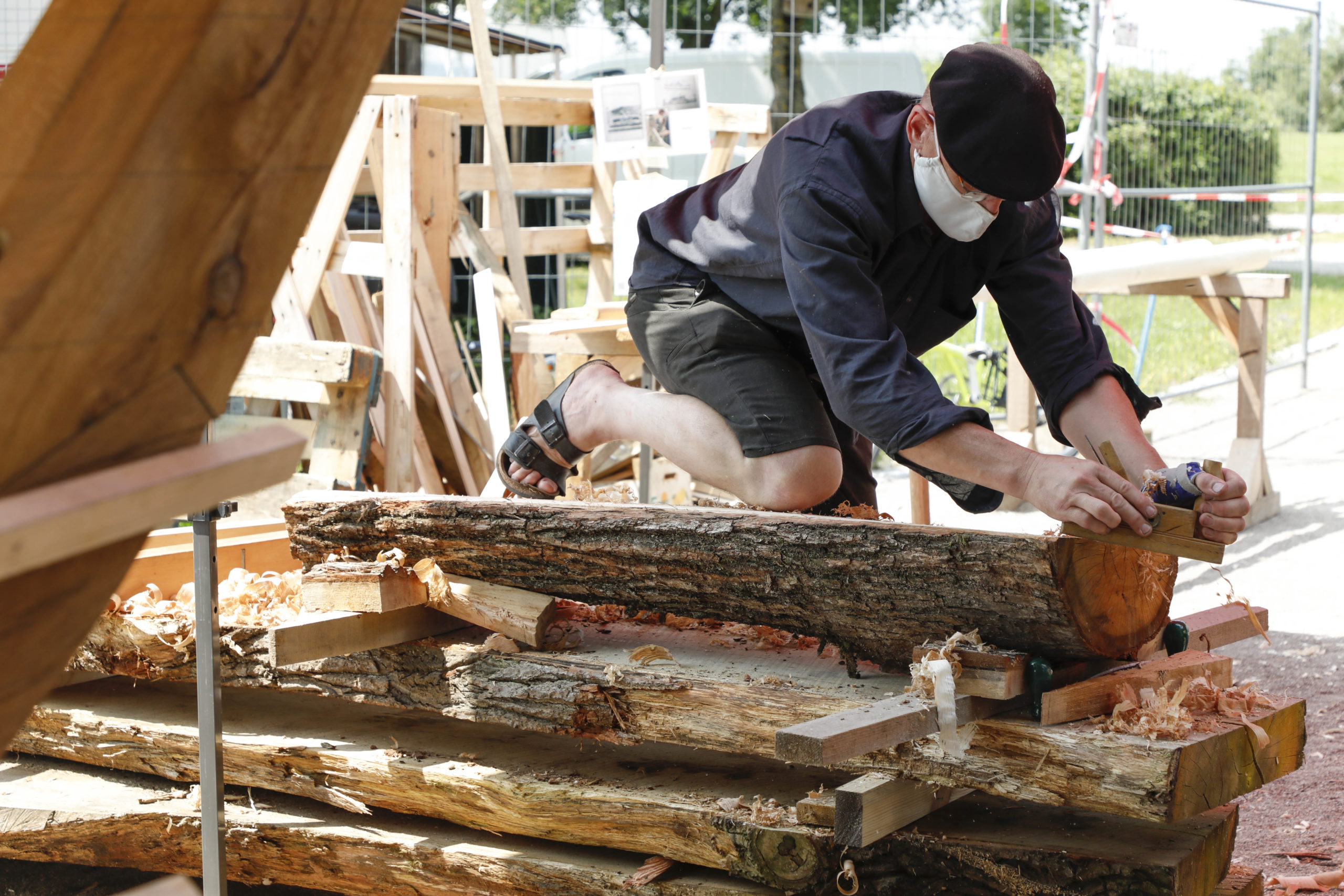 Baumstamm wird weiterverarbeitet.