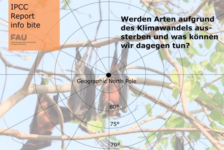 Werden durch den Klimawandel Arten aussterben und können wir etwas dagegen tun?