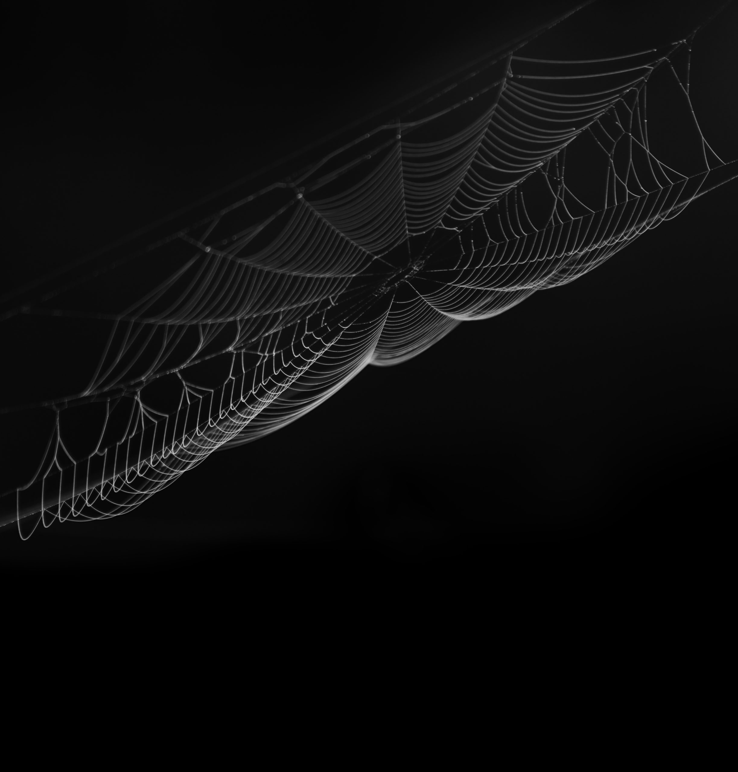 Aufmacherbild Alex-Artikel