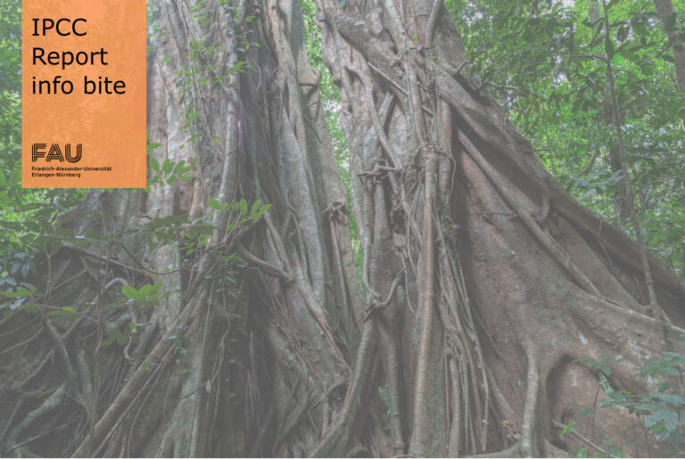 Wie wirkt sich die Gesundheit der Natur auf das Wohlbefinden des Menschen aus?