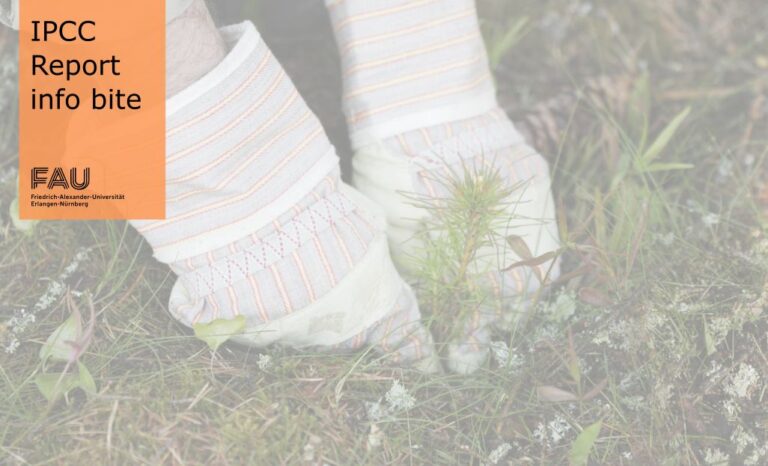 Kann Bäume pflanzen den Klimawandel bekämpfen?