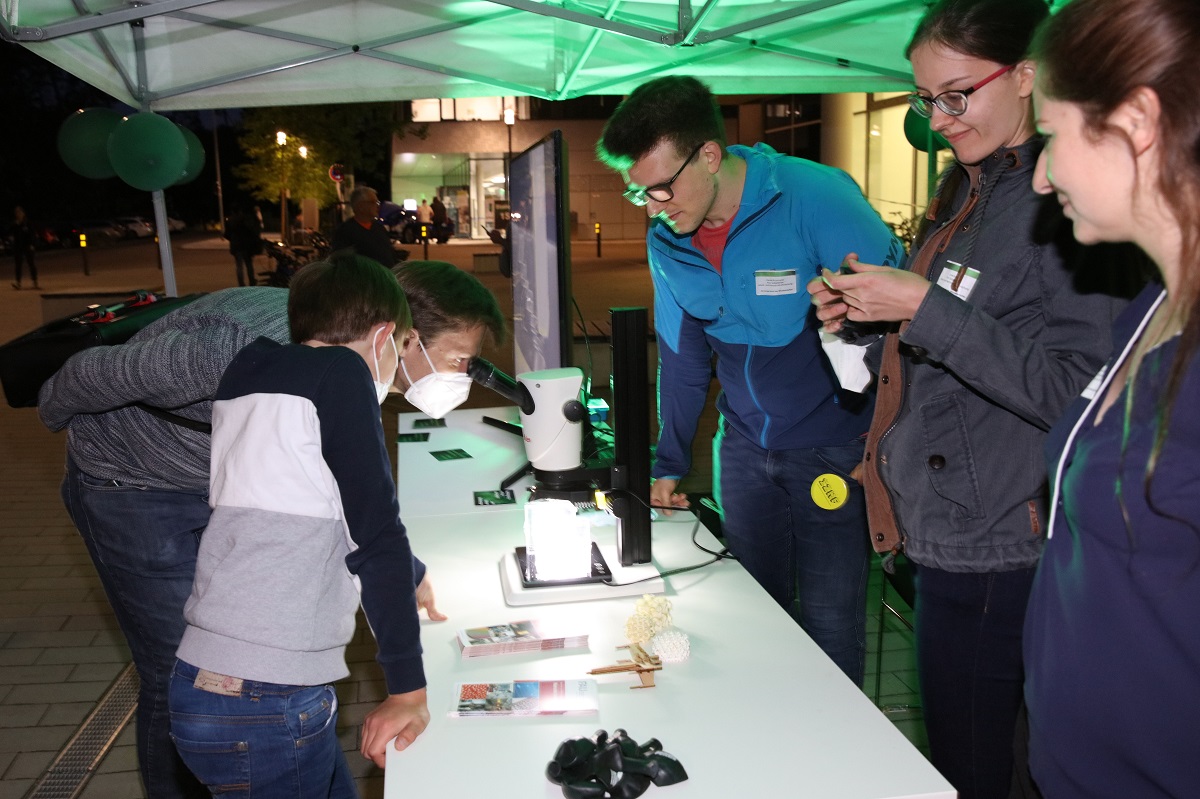 Menschen an Mikroskop