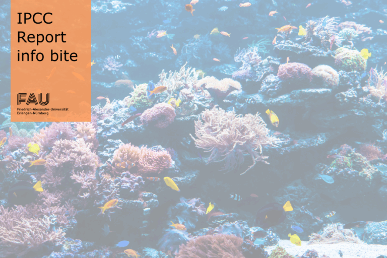 Warum sind Artenvielfalt-Hotspots wichtig?