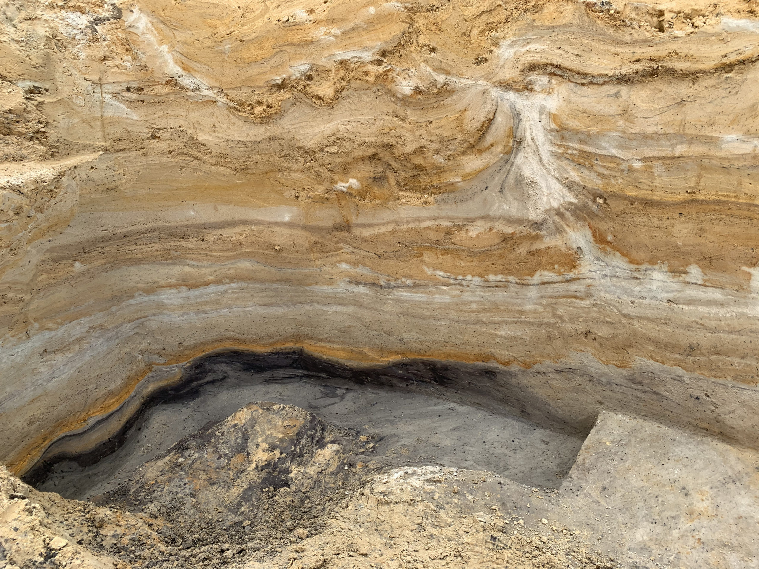 Beitrag Neandertaler des Nordens