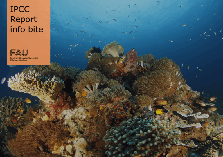 Wie beeinflusst der Klimawandel die Ozeane?