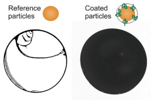 Grafik von zwei charakteristischen Flecken.