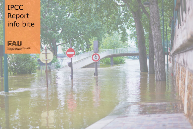 Warum sind besonders Städte anfällig für die Folgen des Klimawandels?