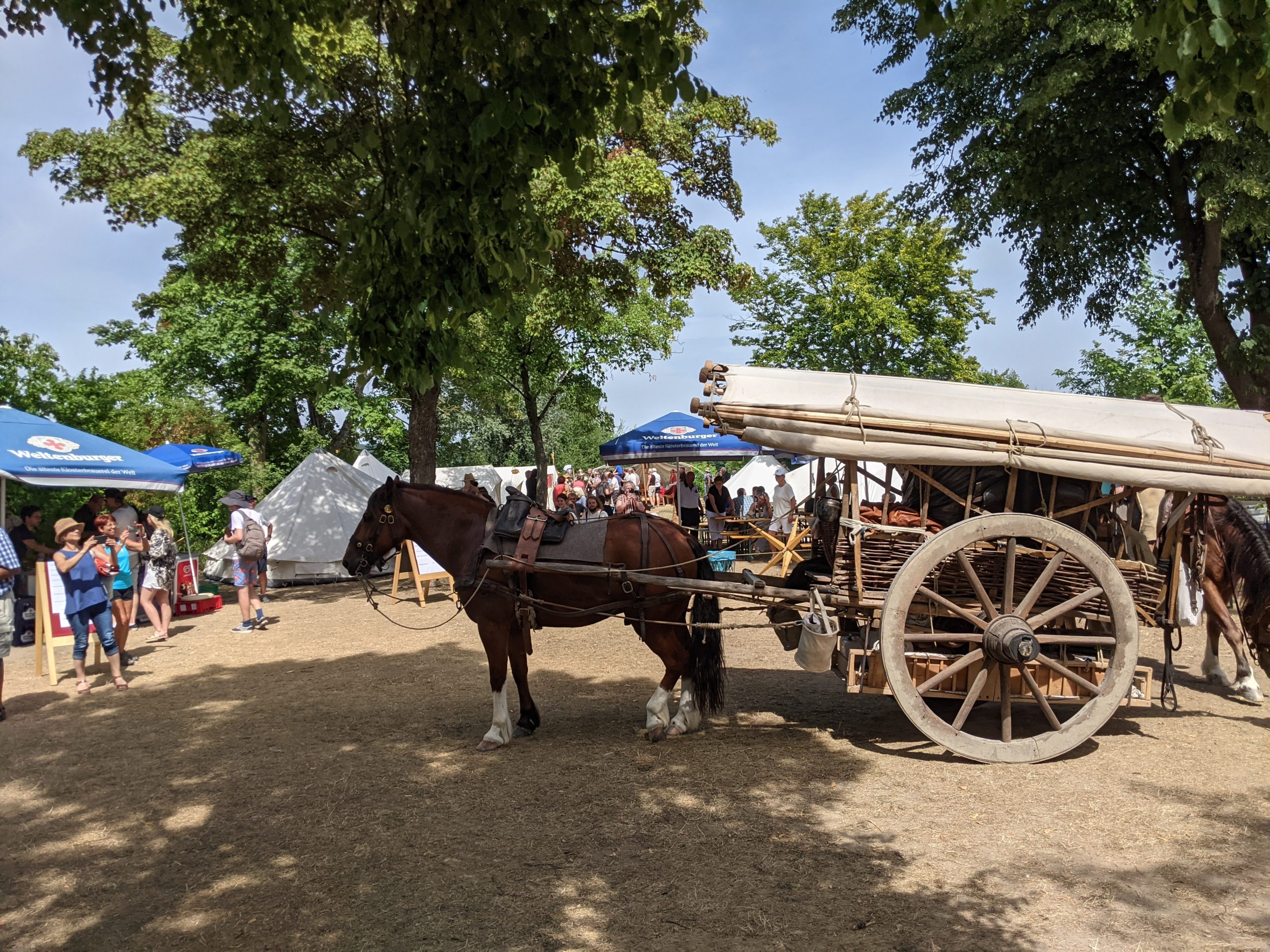 Touristen fotografieren einen römischen Pferdewagen auf einer Veranstaltung.
