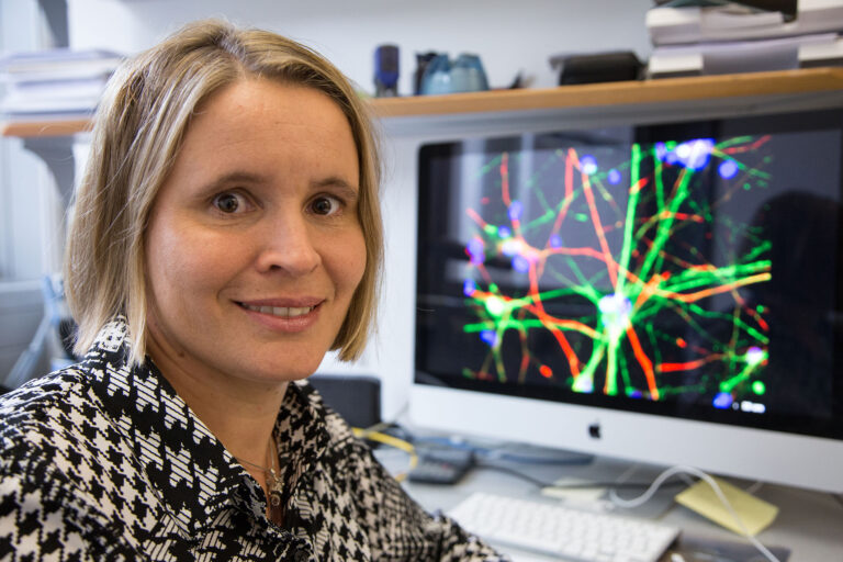 Spastische Lähmung besser verstehen