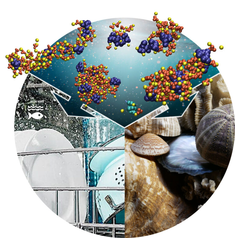 FAU-Forschende finden Methode, um Kalkablagerungen zu verhindern