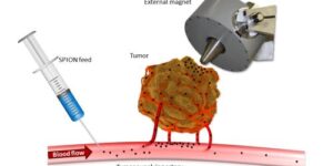 Grafik, die die Grundprinzipien des magnetischen Wirkstofftransports zeigen. Dies wird im Text beschrieben.