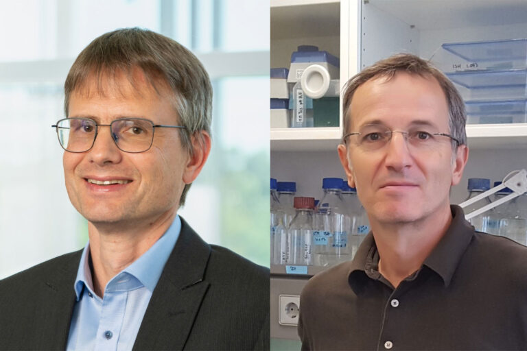 Reinhart-Koselleck-Förderung für zwei FAU-Profs