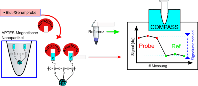 Wenn Antikörper Pirouetten drehen