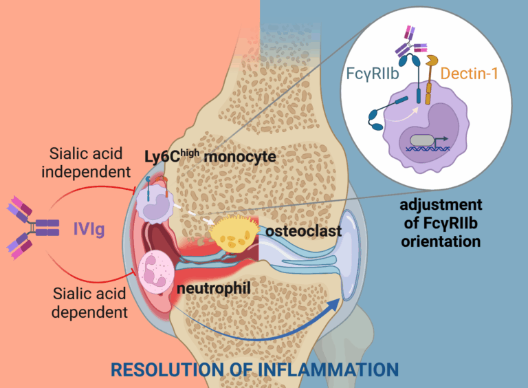 Rheuma einen Riegel vorschieben?