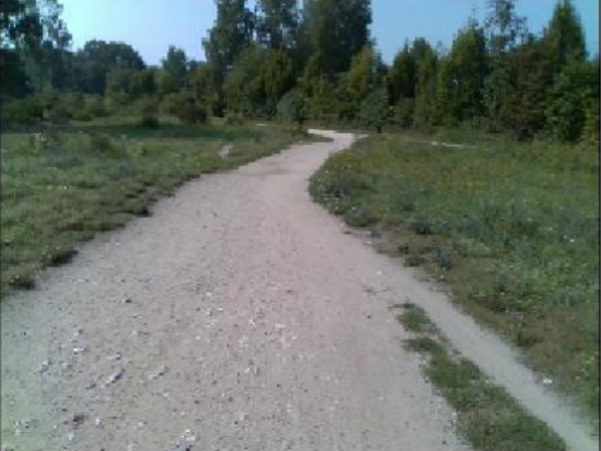 Bild von einem Weg mit Wiese links und rechts davon.