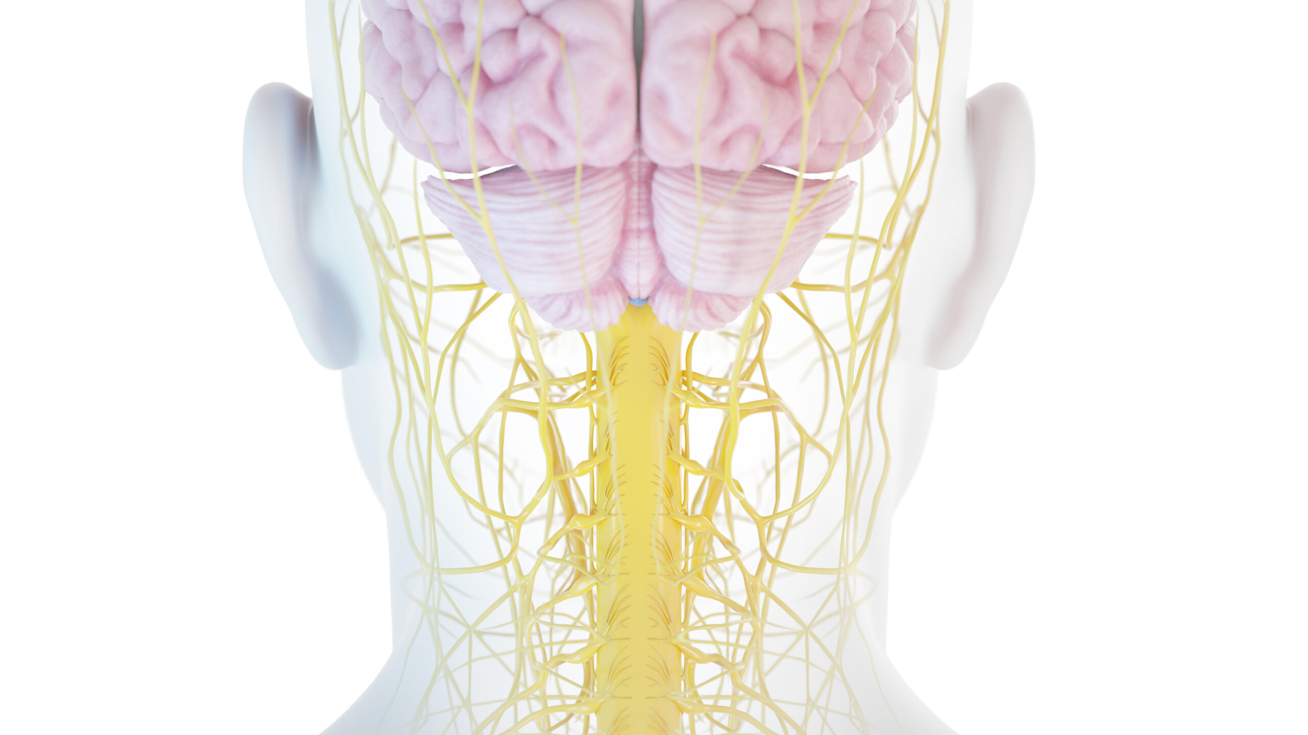 3D gerenderte Illustration.