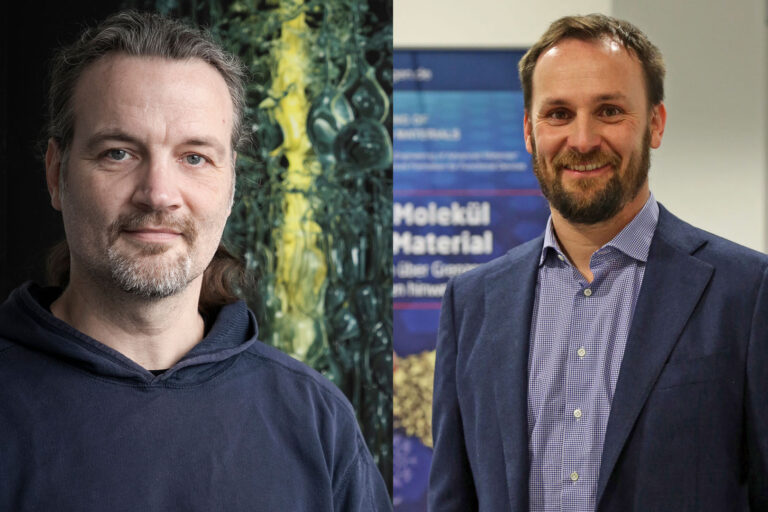 Elektrokatalyse und Hirnmechanik: Zwei ERC Synergy Grants für FAU-Forscher