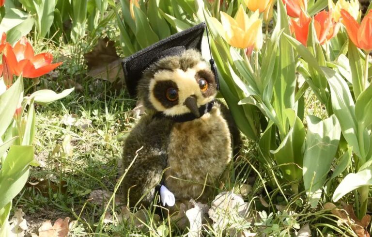 Virtuelle Osterlotterie: Spenden und gewinnen