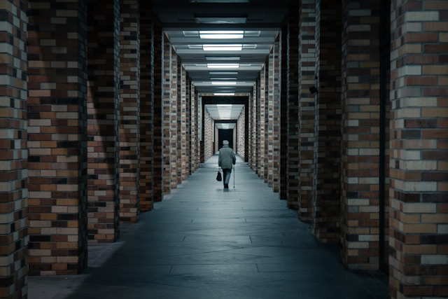 #FAUwissenwollen: Die Kunst des Mittelweges