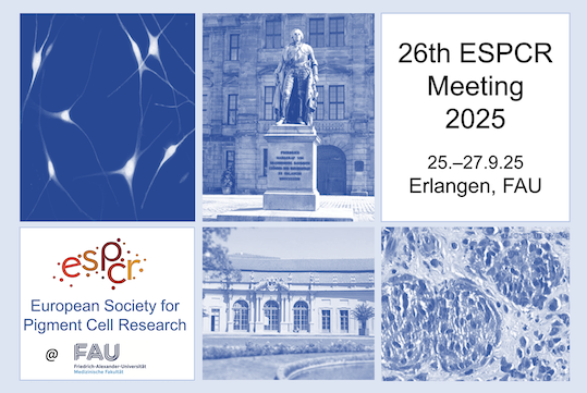 Manfred Roth Stiftung fördert Kongress zur Pigmentzellforschung