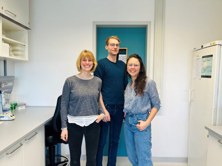 Zellforschung: Nanopartikel koordinieren Zellwachstum