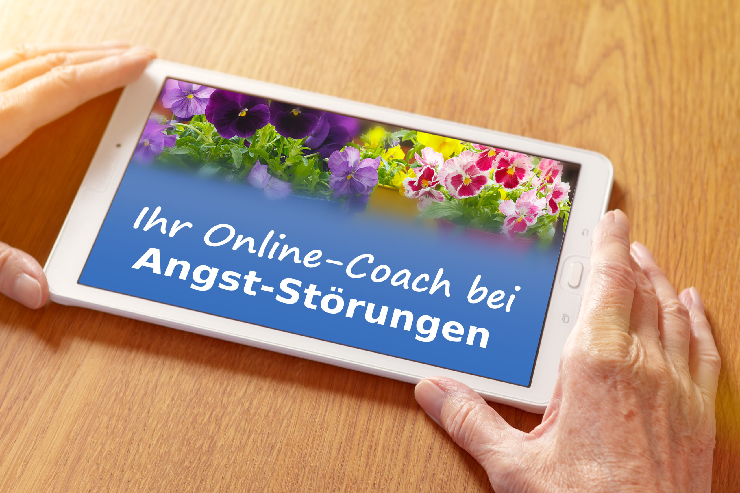 Handybildschirm mit der aufschrift: Ihr online-coach bei Angst-Störungen.