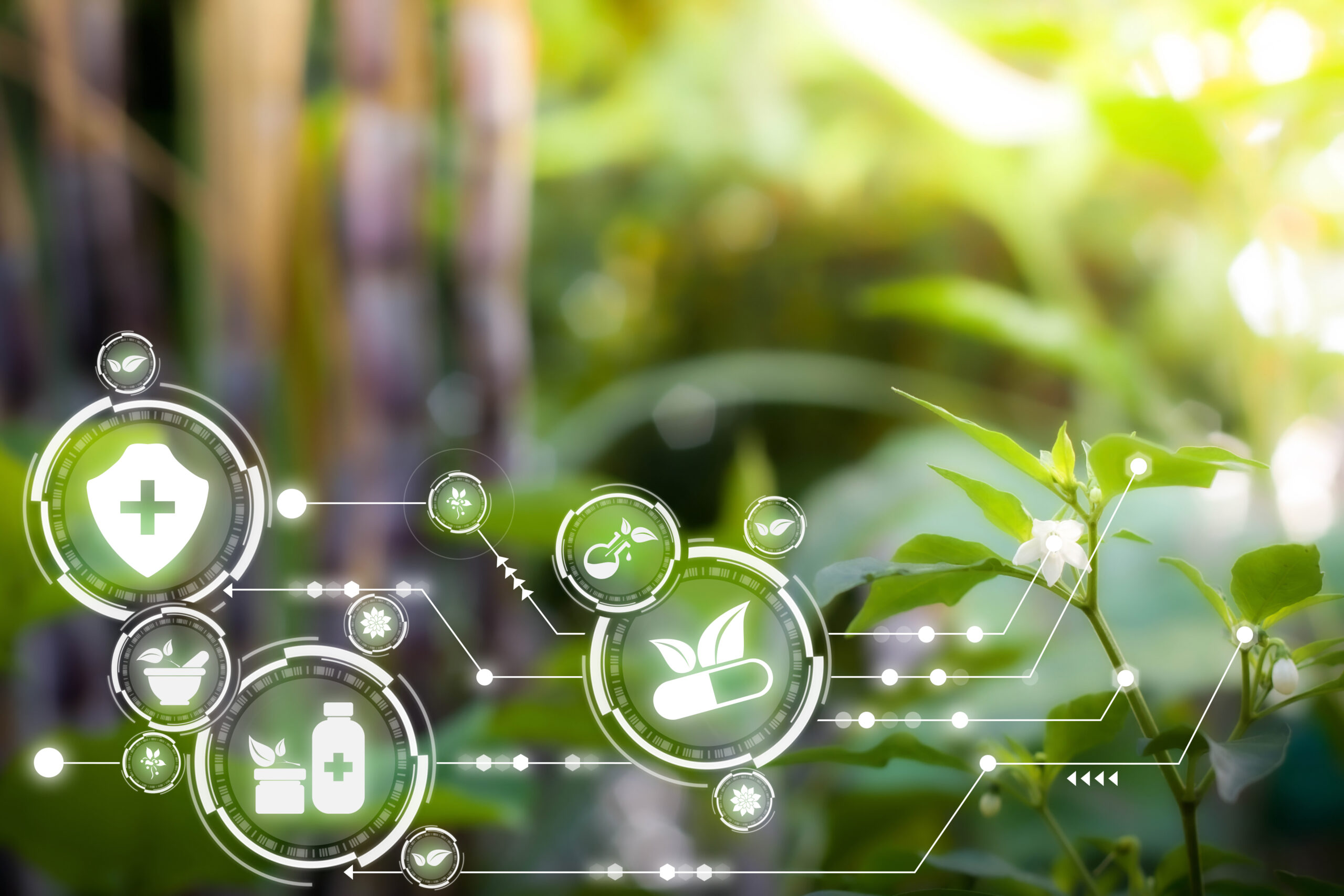 Blätter und Bäume im Hintergrund, futristische sechseitige Medizinsymbole im Vordergrund.