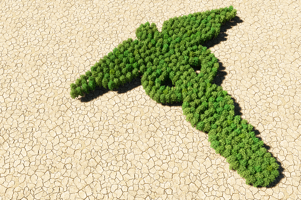 ausgetrockneter, rissiger Boden mit Wald in Form des Askleipios-Stabes.