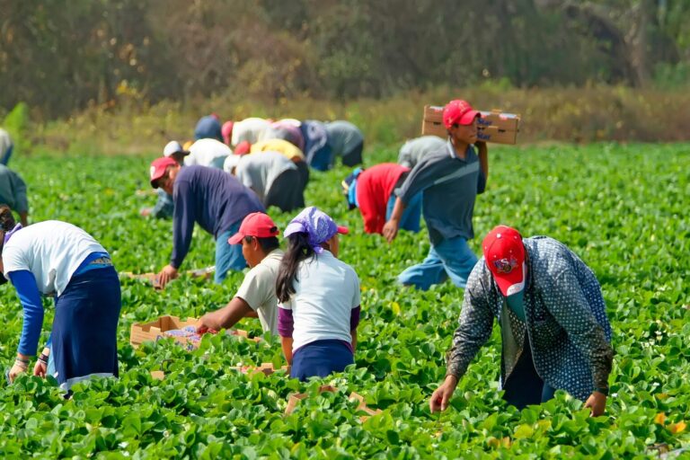 Pay Gap: Schlechterer Zugang zu gut bezahlten Jobs für Migranten/-innen