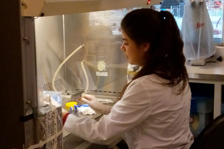 Mit Hänsel und Gretel das Zellverhalten verstehen