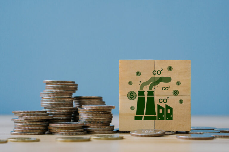 Studie: CO2-Steuer oft Fiskal- und nicht Klimapolitik