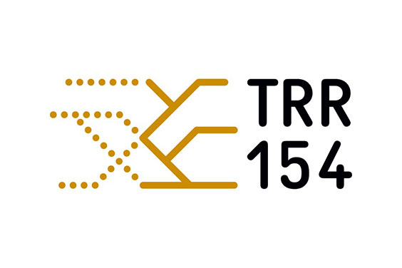 Logo TRR154