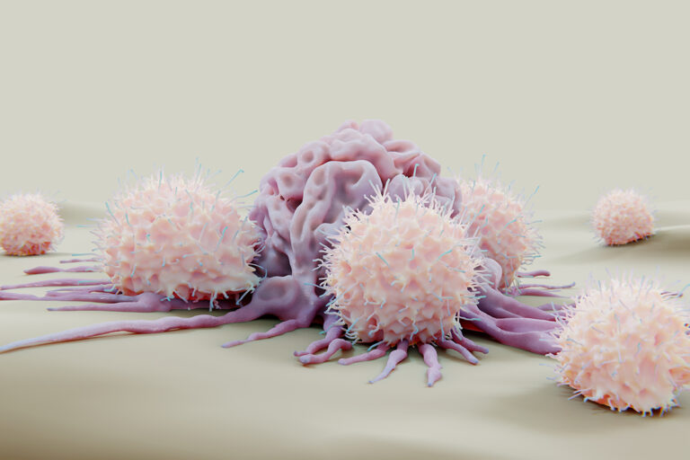 Killerzellen: Wie das Immunsystem seine Abwehrtruppen auswählt