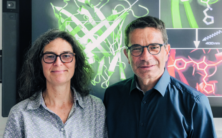 Highspeed-Helma und Turbo-Alex