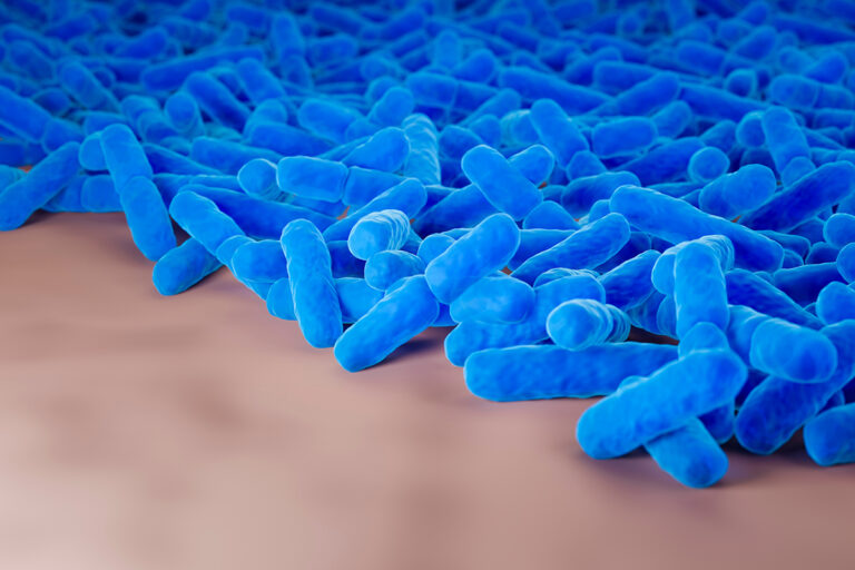 Neues Forschungsprojekt: Wie Bakterien zusammenhalten