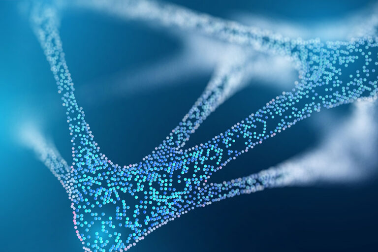 Gehirnaktivität formen – ein mechanischer Prozess?