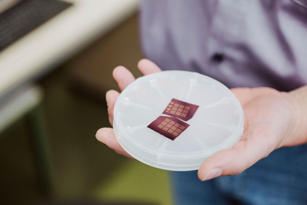 Mikrochips in einer Schale